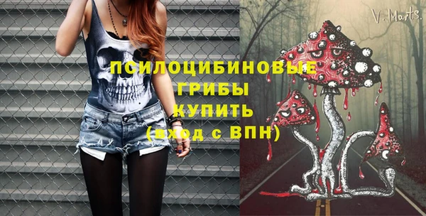 ешки Абинск