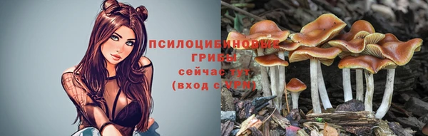 дживик Медвежьегорск