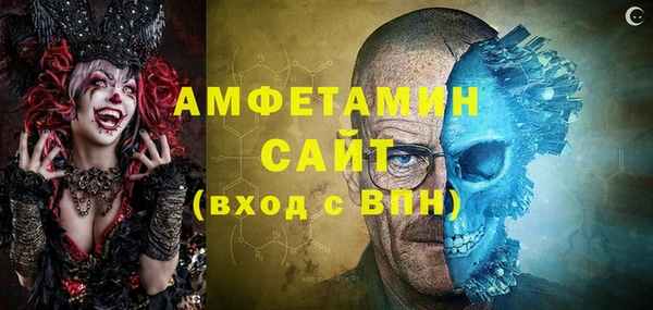 ECSTASY Алзамай