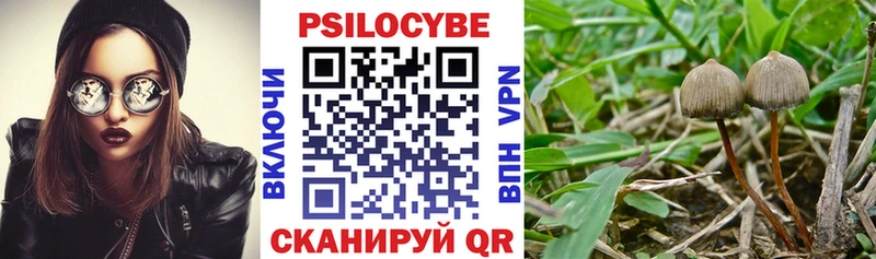 Псилоцибиновые грибы MAGIC MUSHROOMS  продажа наркотиков  Таганрог 